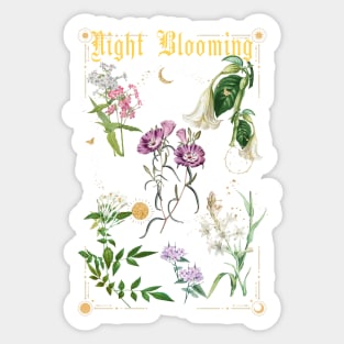 night blooming flower Sticker